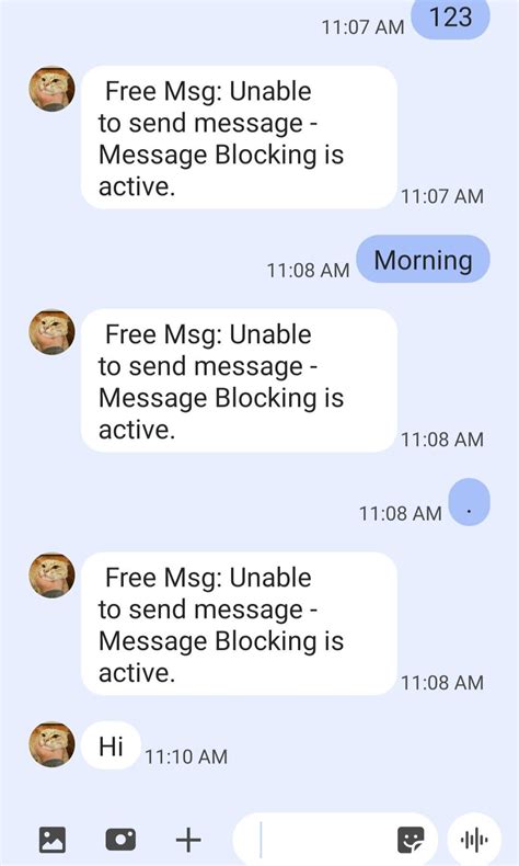  Note You can receive SMS messages on your US Skype Number from US and Canadian mobile numbers. . Free msg unable to send message message blocking is active reddit